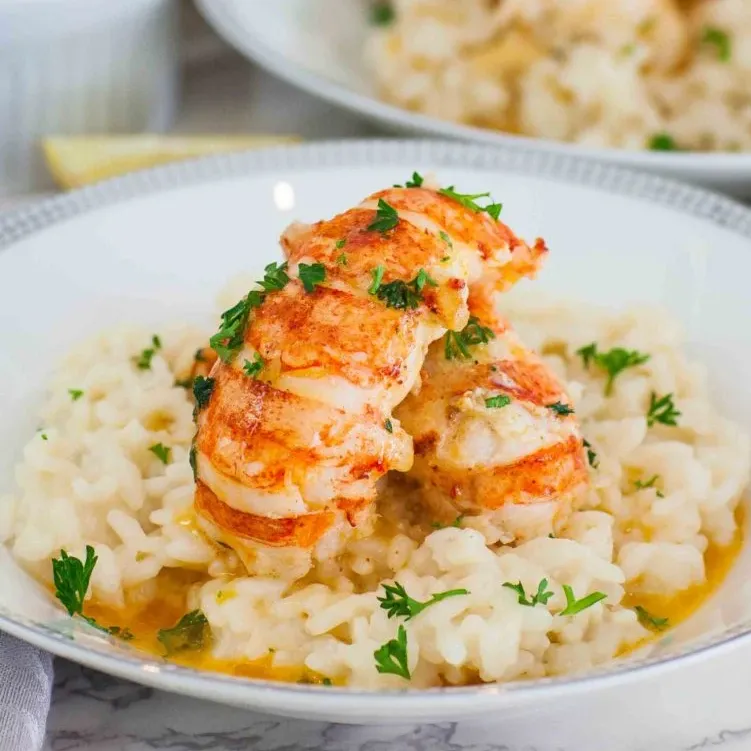 Lobster Medallions with Champagne Gelée & Citrus Pearls