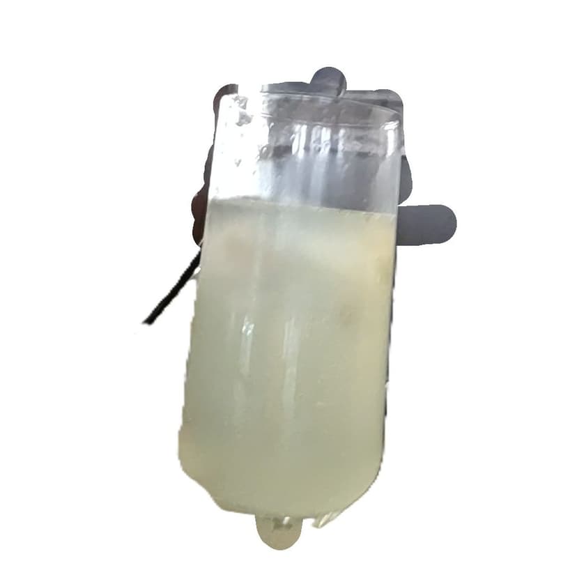 Sparkling Zesty Pomello Fizz