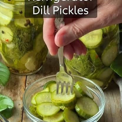 Crisp Refrigerator Dill Pickles