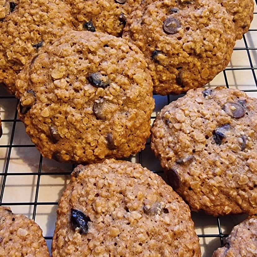Honey Oat Cranberry Cookies with Chocolate Icing image